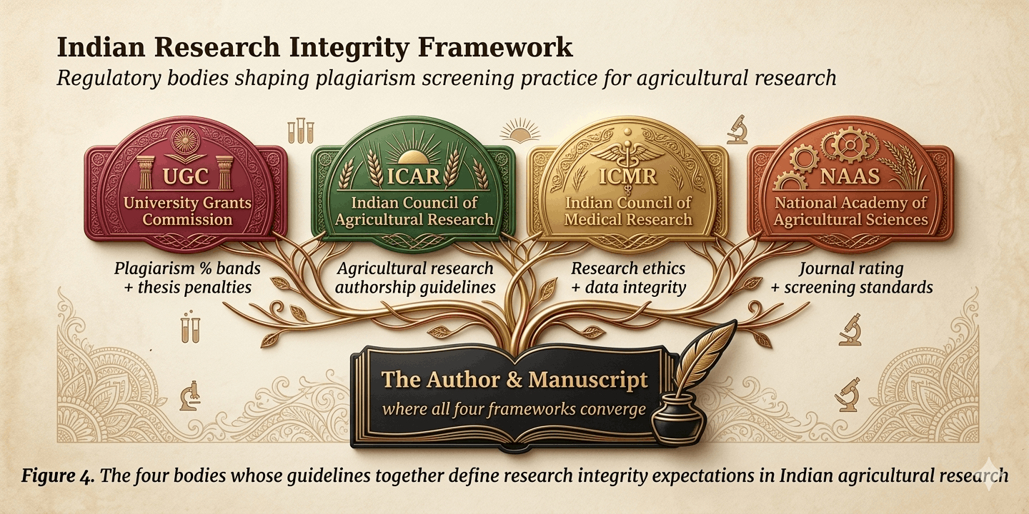 Diagram showing UGC, ICAR, ICMR and NAAS as four converging regulatory bodies for Indian research integrity
